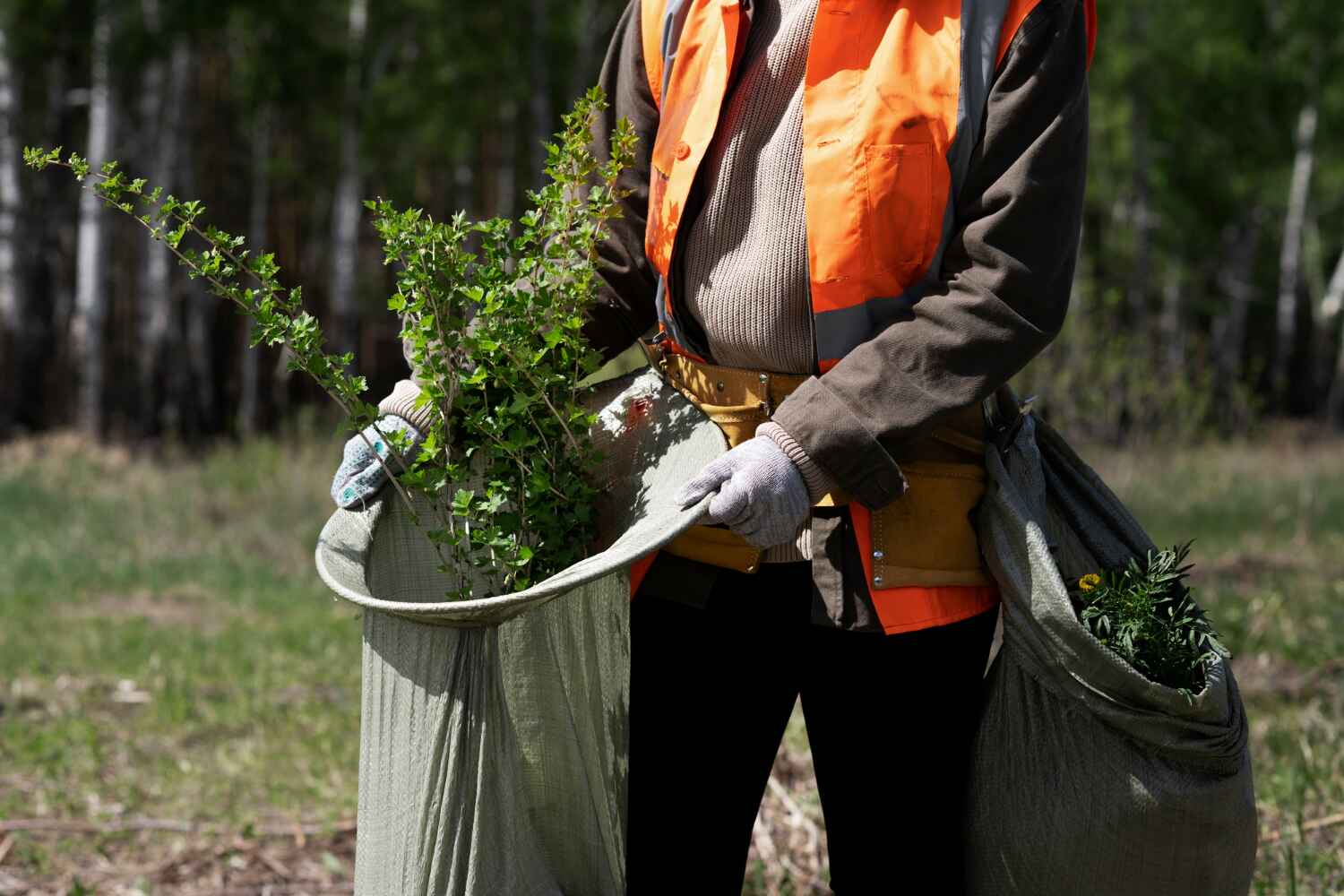 Best Tree Care Services  in St Cloud, FL